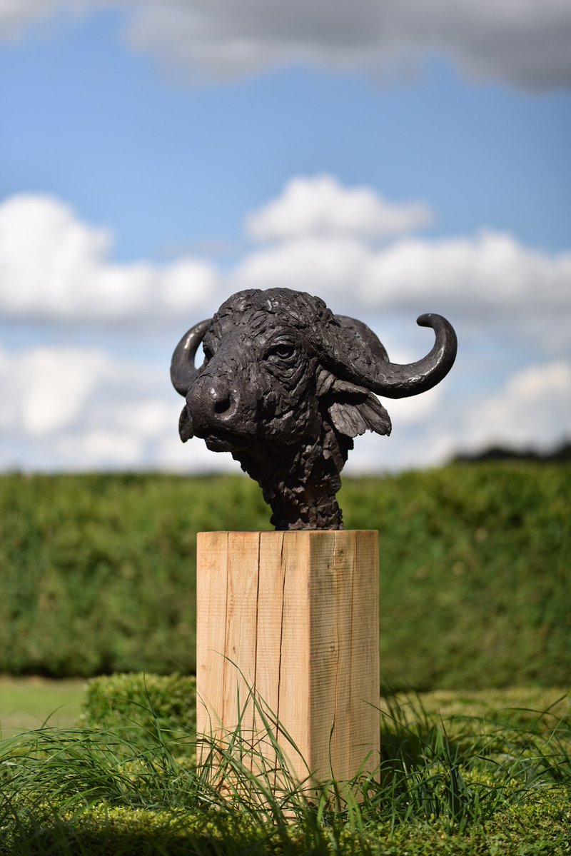 Cape Buffalo Head 2017

hamishmackie.com/sculptures/cap…

#buffalo #sculpture #artwork #statue #landscapeart #landscapesculpture #gardenart #gardensculpture #outdoorart #outdoorsculpture #artcollectors #artcommissions #artbuyers #buyart #statuecollectors #wildlifeart #animalart