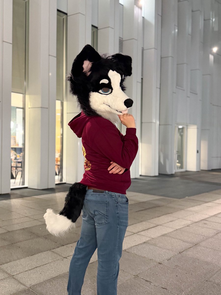 Quelques photos prises par <a href="/theo_wolf90/">Rusty</a> à la #FBL13 pour ce #FursuitFriday ~ 🥰🐶🌖