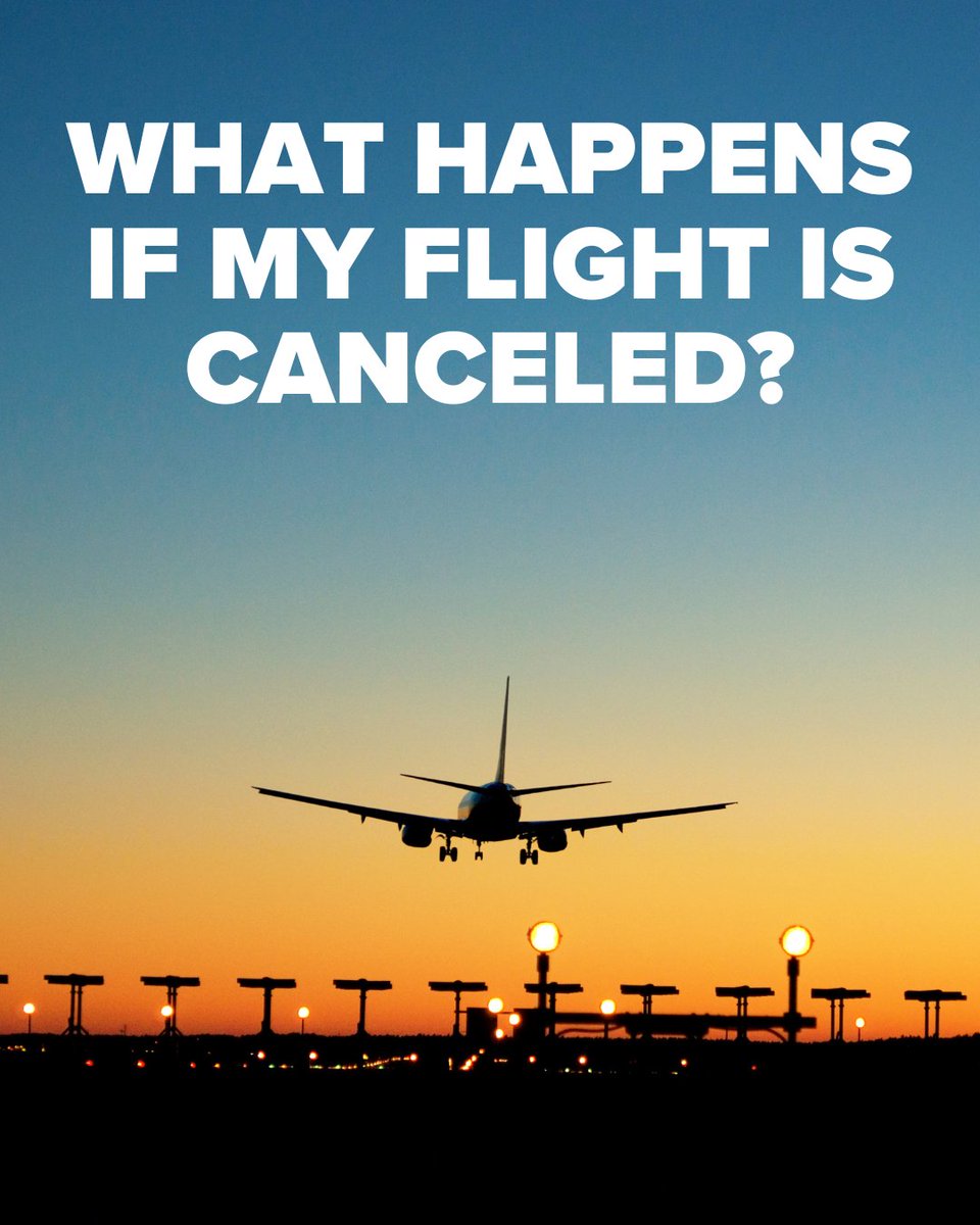 13NewsNow's tweet photo. FLIGHT CANCELED? Here are your options: https://t.co/9Xq1FUPRNx https://t.co/1KpN0IBIqQ