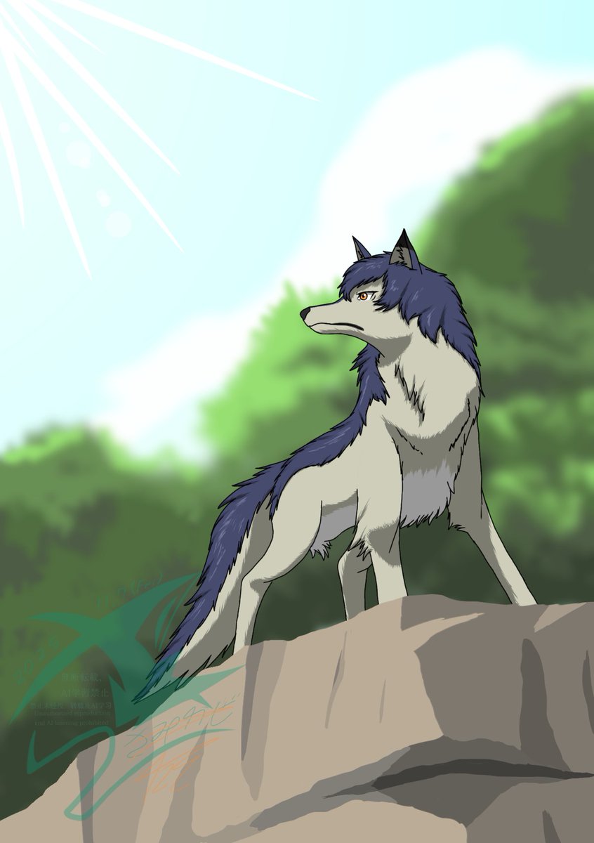 おおかみさん デザフェス62両日 B411 11/15.16 (@ookamishop_wolf