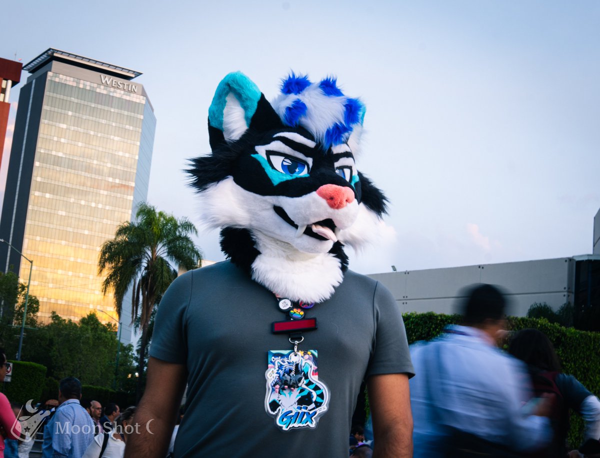 I’m just a Street Cat
#FursuitFriday #fursuit #furryartwork 
 
🪡<a href="/MoonShot_C/">MoonShot 🌙</a>
📷@iamcalden
