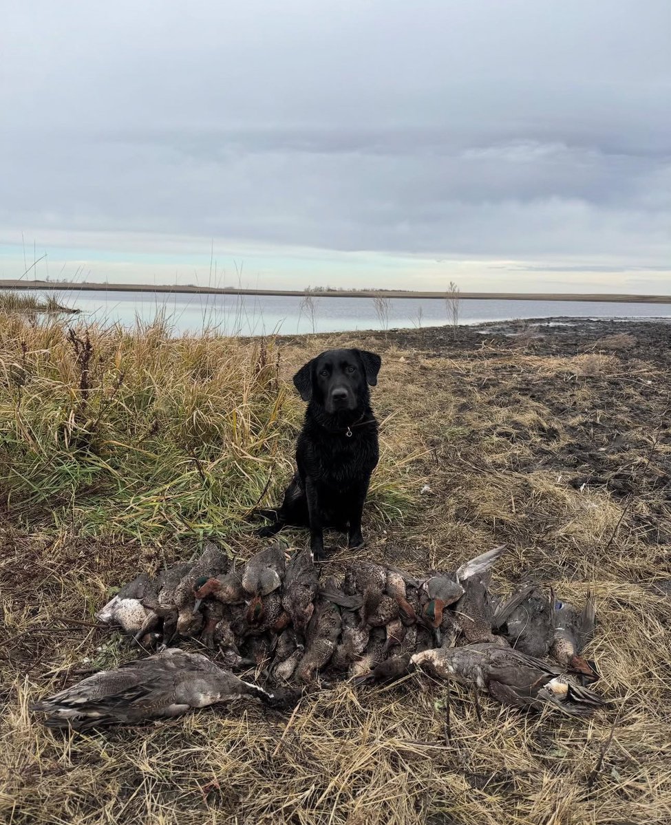 rice_chase_ACM's tweet image. Had an absolute time in North Dakota with the boys. Jacks absolutely CRUSHING this year.🫶🏻❤️