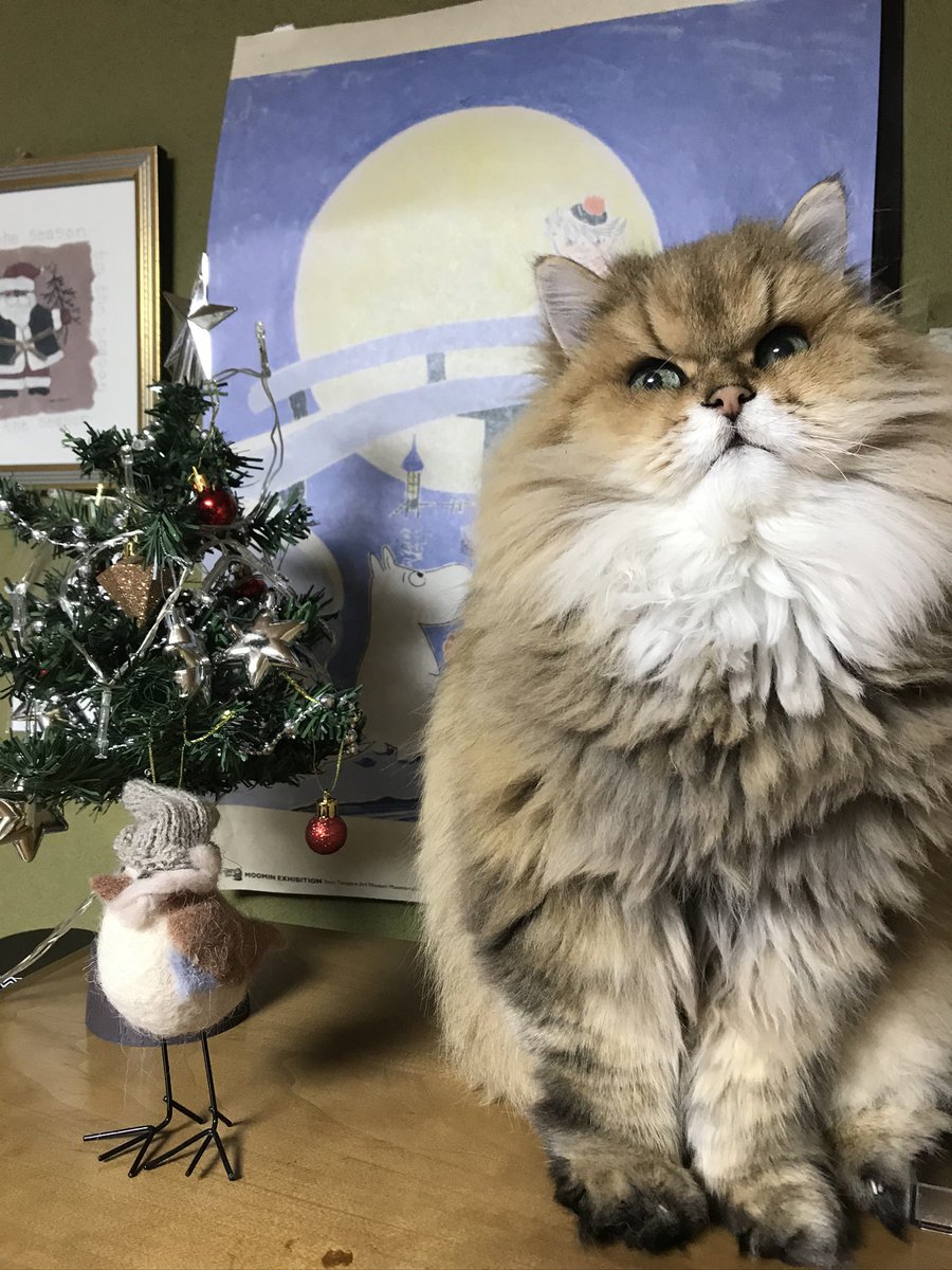 🩴🏳️‍⚧️🏳️‍🌈🍉comms open on X