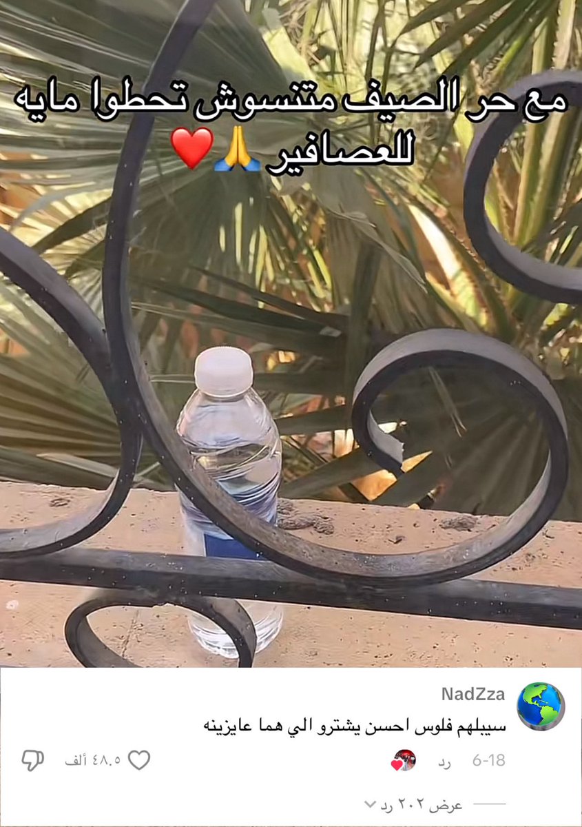 لماذا نحن هنا ؟ tweet media