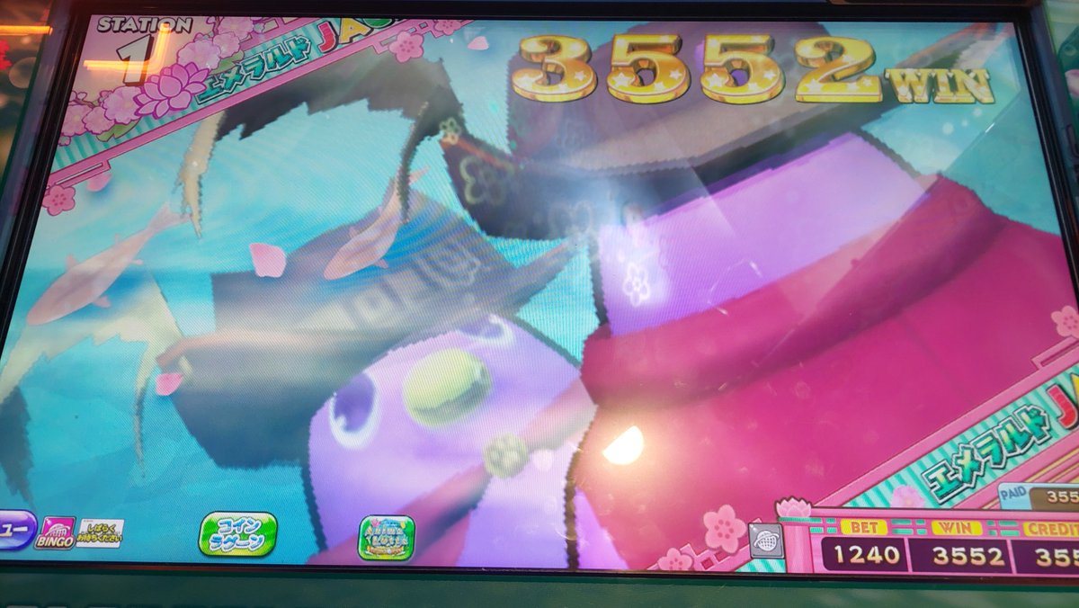 blue＊bird様 orderページ☽⋰ アマゾン川 on X