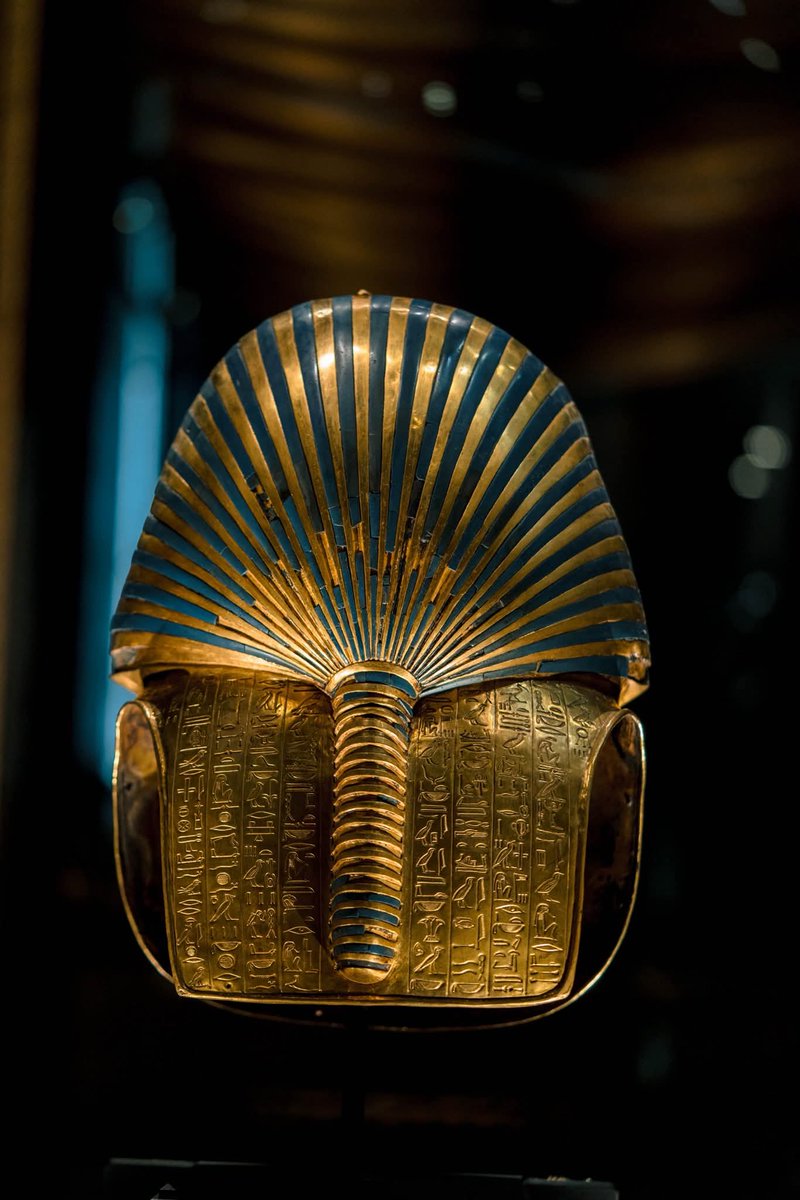 Explore Luxor tweet media