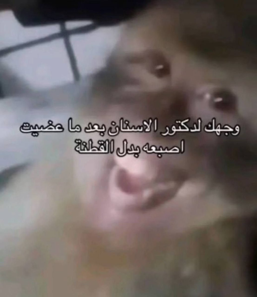 صمون حار وطماطة لاجعة (@_8c80) on Twitter photo 