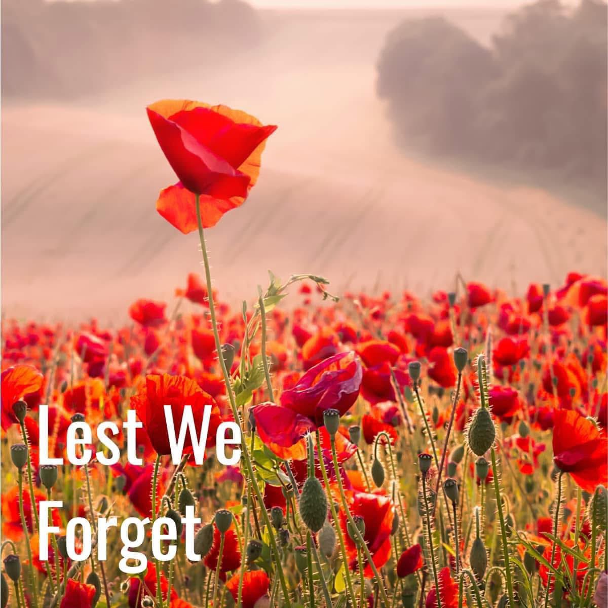 We Will Remember Them This Weekend ❤️

#remembranceday #lestweforget #remembrance #poppy #poppies #ww #remembrancesunday #wewillrememberthem #veterans  #poppyappeal #armisticeday #worldwar #november #neverforget #veteransday #royalbritishlegion #armistice #memorial #soldiers