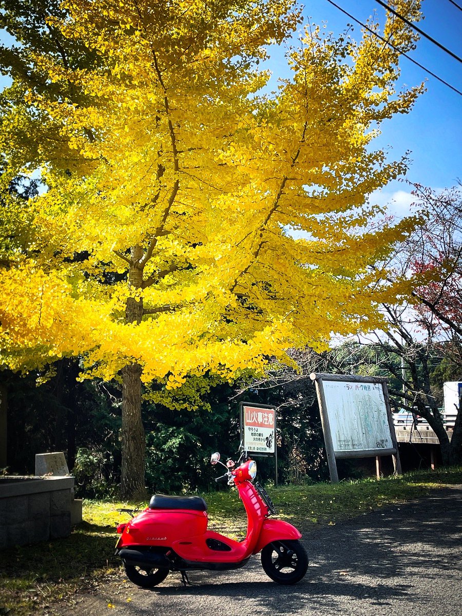 uzuramanZ's tweet photo. ▼今日は #道の駅くしがきの里 でパンとホットココアを買って #和泉葛城山 までプチツー。ベンチに座ってお昼ご飯にしました。そのまま #ハイランドパーク粉河 でトイレ休憩して帰路につきました。
#giorcub #giorcub75 #af53 #scooter #cub #returnrider #HONDA https://t.co/MyeqhitgZV
