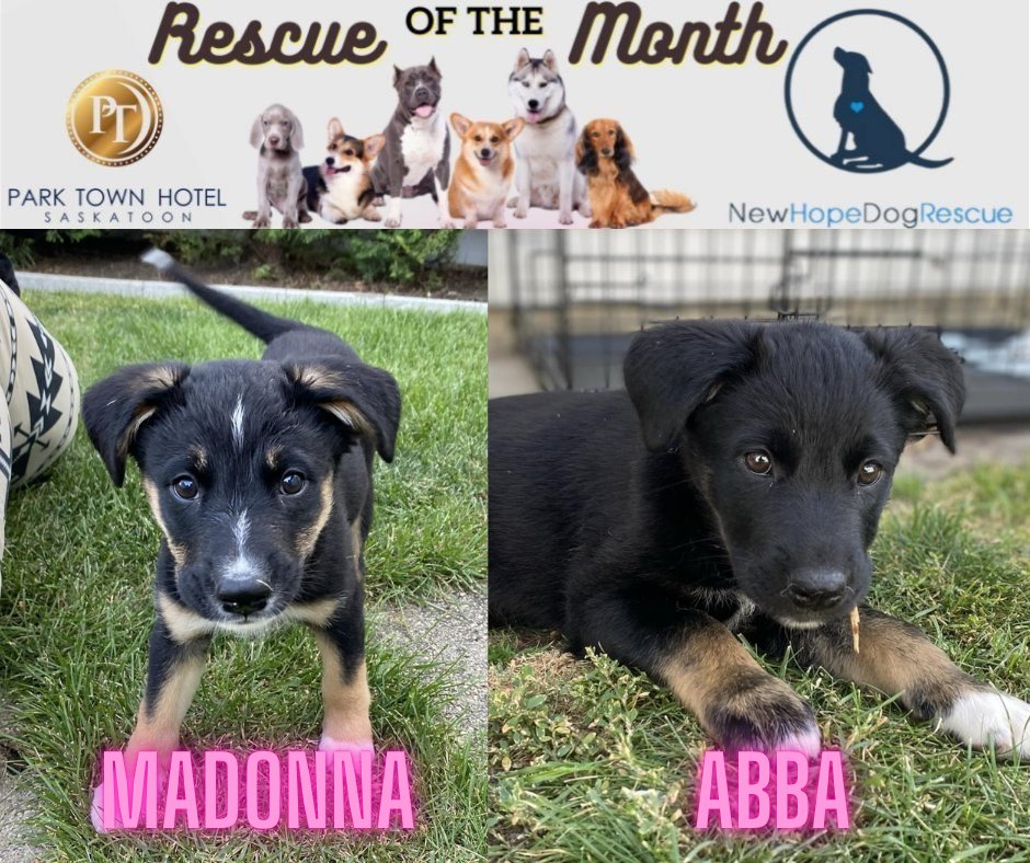 98 COOL fm tweet media