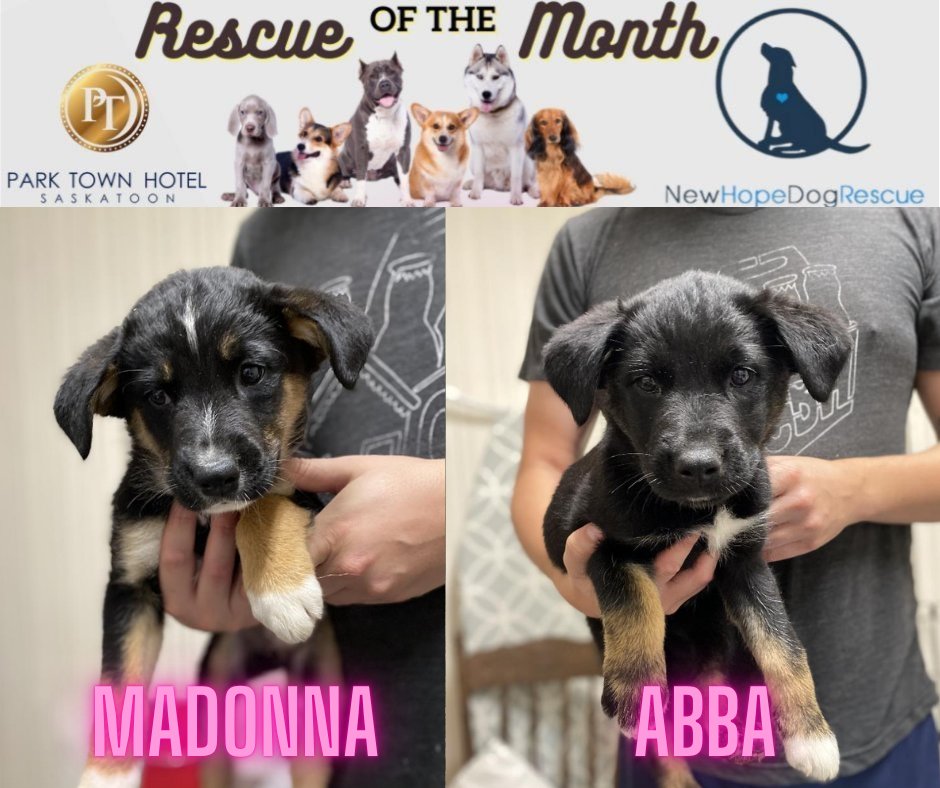 98 COOL fm tweet media