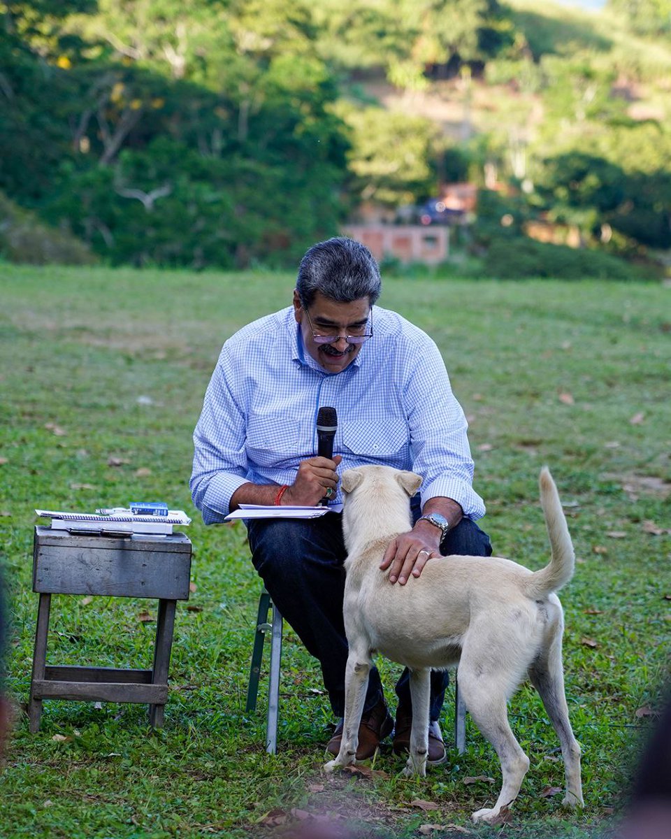 El pdte| <a href="/NicolasMaduro/">Nicolás Maduro</a> ha instruido al Ministerio Público y a través del Dr. <a href="/TarekWiliamSaab/">Tarek William Saab</a> el plan "defiende a tu mascota". Donde se busca combatir el maltrato y se le brinda el derecho a la vida, al amor, a la alimentación.

#𝑺𝒐𝒎𝒐𝒔𝑷𝒖𝒆𝒃𝒍𝒐𝑰𝒎𝒑𝒆𝒓𝒕𝒖𝒓𝒃𝒂𝒃𝒍𝒆