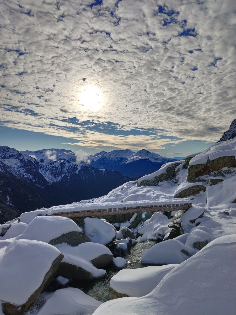 Alejandro Jiménez tweet media