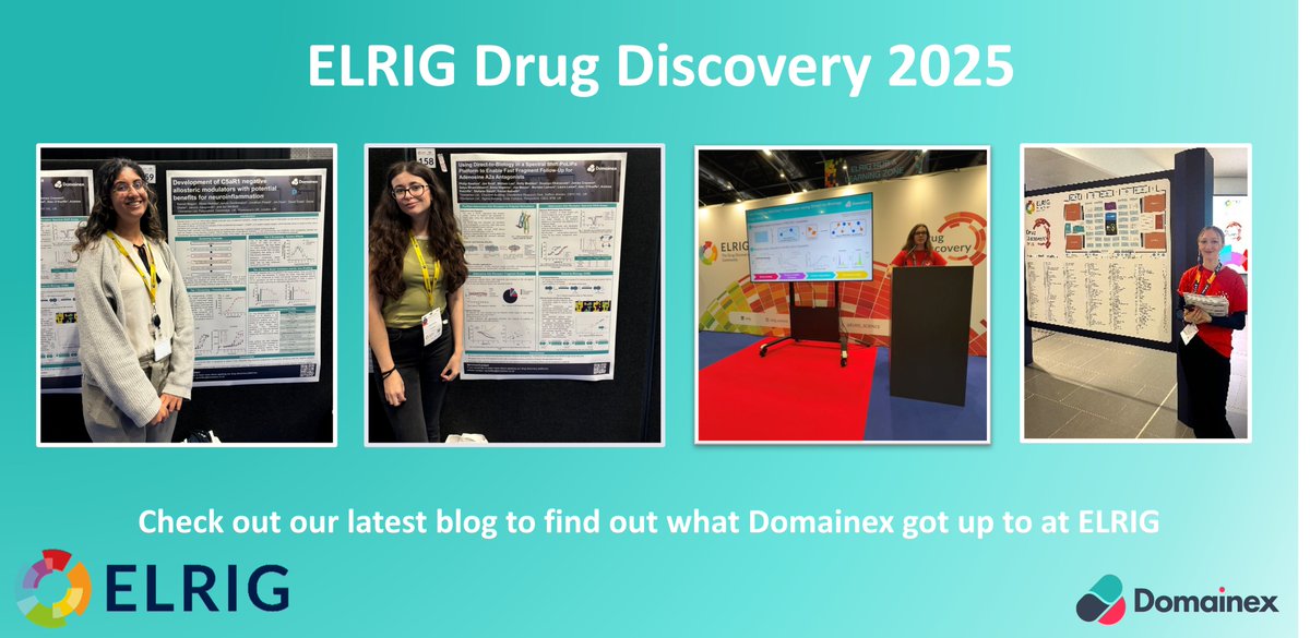 Domainex tweet media