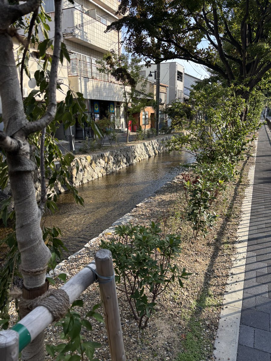 サウナの梅湯♨️

シャンプー、ボディーソープ、サウナ込みで550円は破格

周りの雰囲気もゆったりしていて良かったですー