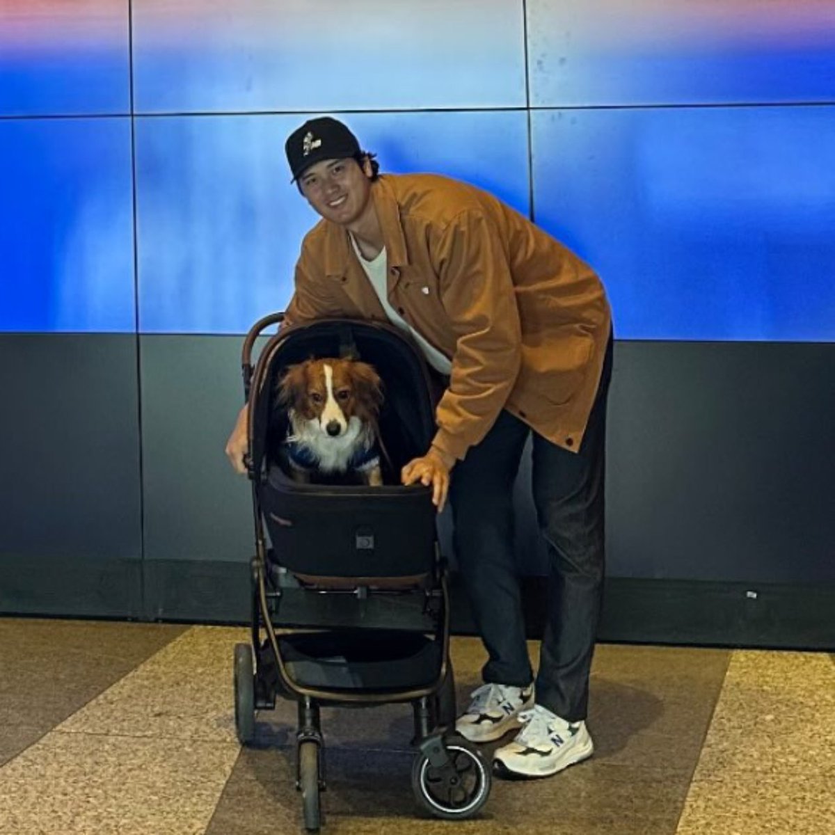 デコピンくん！ 大谷翔平 ＃デコピン🐶 ＃ニューバランス カートにちょこんと乗ってる