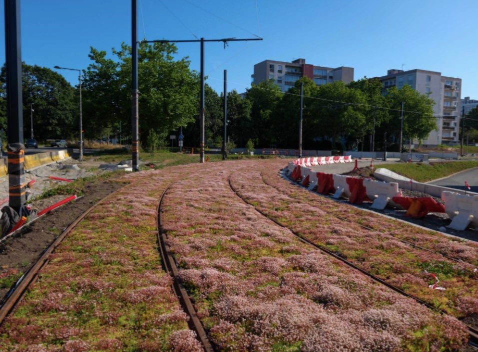 🌱 La stratégie végétale de Brest, avec Mon Réseau Grandit, aura été au cœur du projet. Il ne suffit pas de construire, il faut en profiter pour agir sur les transitions !

🌱🌱 7 hectares au total d’espaces vegetalisés (équivalent à 11 terrains de foot)