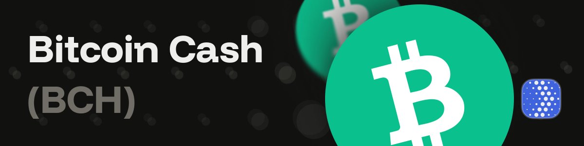 SafeBlock tweet media