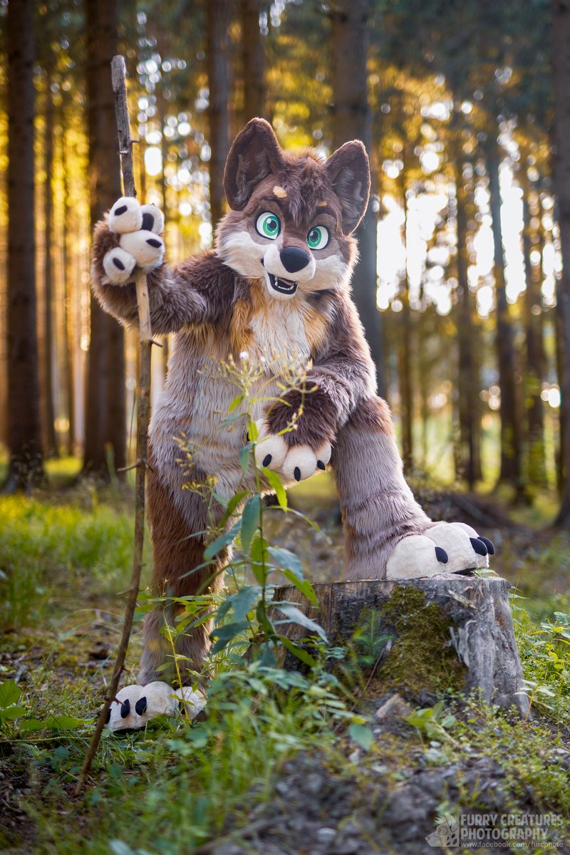 The wolf is ready to go, but he will wait a few minutes if you need to catch your breath this #fursuitFriday...

🐺 <a href="/TakeruWolf/">Takeru Kamachi</a>