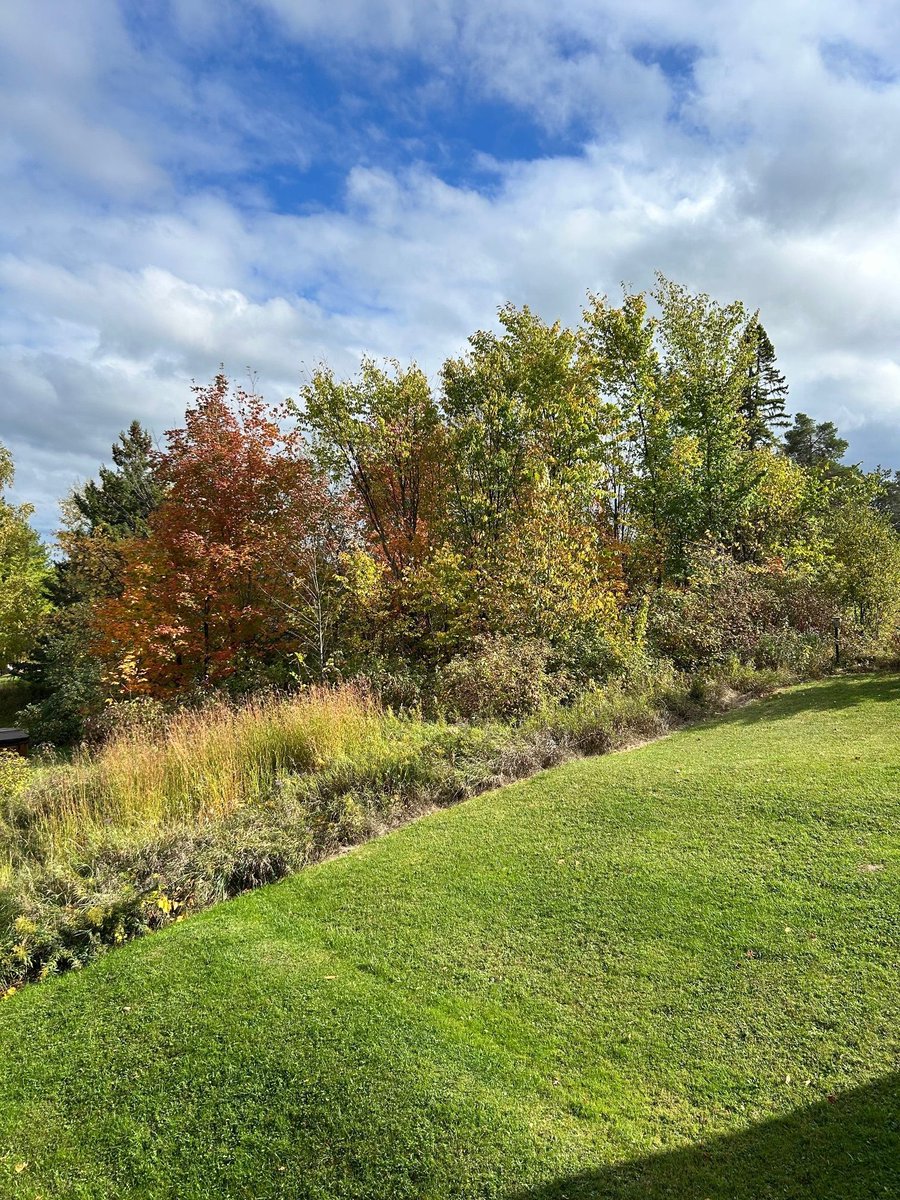 Virginia Torrie, JD, ICD.D (she/her) tweet media