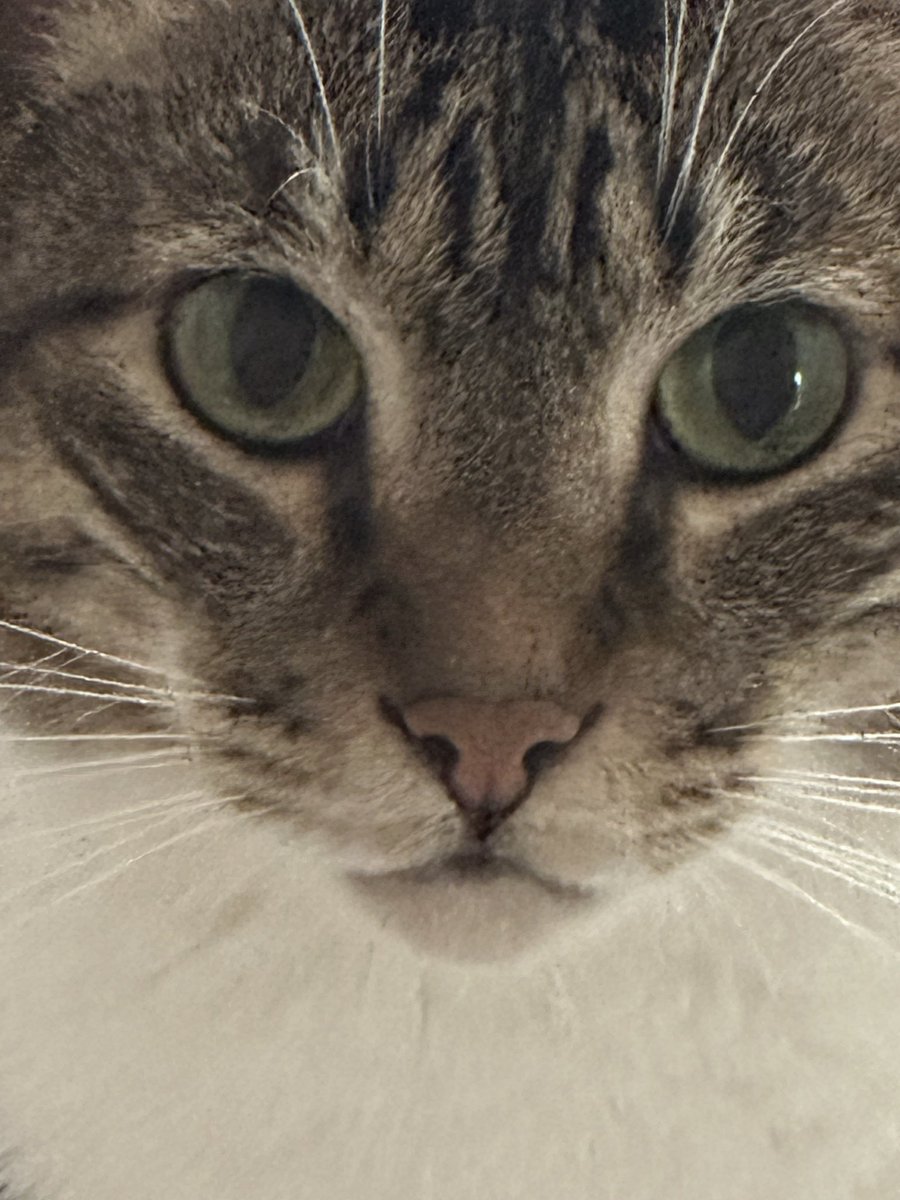 acidjuliaa's tweet photo. @flordewhisky mas ele ainda é filhote https://t.co/O52aDvjm3f