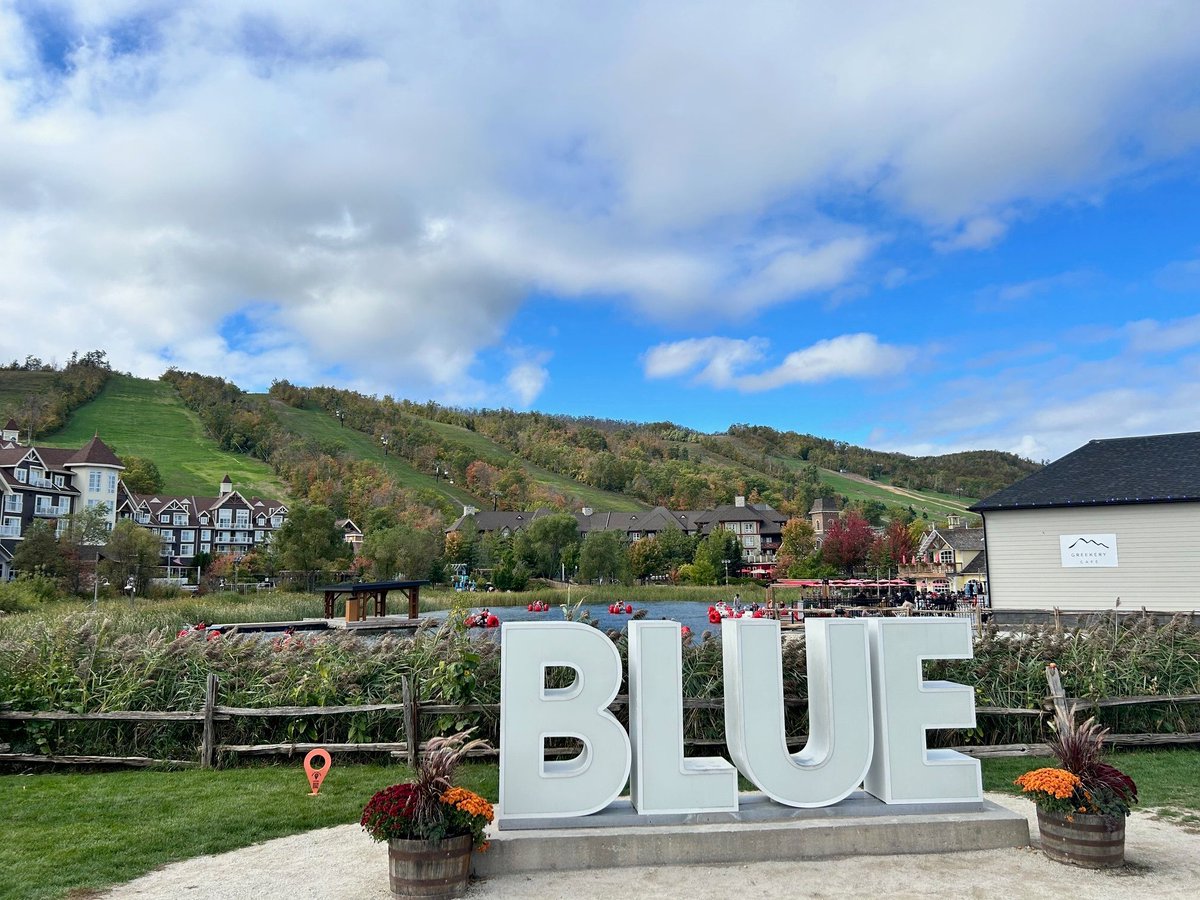 Virginia Torrie, JD, ICD.D (she/her) tweet media