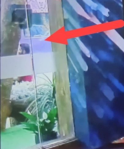 ask_lyer's tweet photo. It’s #PranitMore 
Finally Back In House 

#BiggBoss19 #BB19 #JioHotstar https://t.co/jXJMsqYQDs