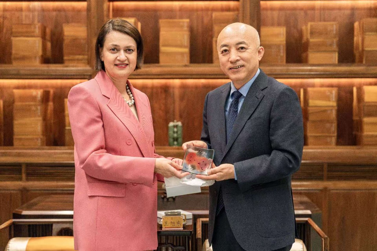 SophianouKoula's tweet image. Honoured to meet the Director of the @Palace_Museum Dr Wang Hudong  in #Beijing — a treasure of world culture. We explored opportunities for cultural exchange and collaboration. #CulturalHeritage #CulturalExchange  #PalaceMuseum #ForbiddenCity #CulturalDiplomacy @CyprusEmbChina