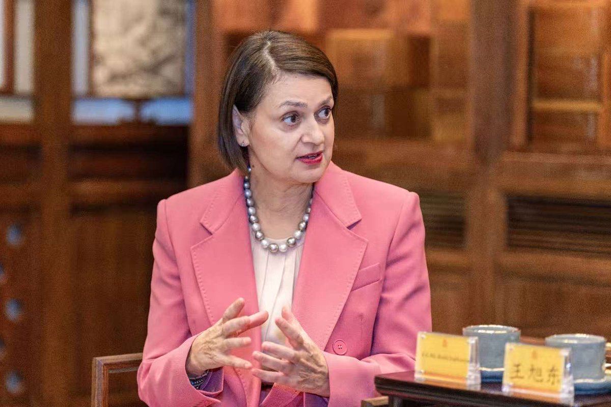 SophianouKoula's tweet image. Honoured to meet the Director of the @Palace_Museum Dr Wang Hudong  in #Beijing — a treasure of world culture. We explored opportunities for cultural exchange and collaboration. #CulturalHeritage #CulturalExchange  #PalaceMuseum #ForbiddenCity #CulturalDiplomacy @CyprusEmbChina