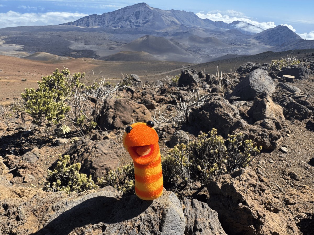 Life's a climb, but the view is great. 🧡⛰️💛 #SesameRoadTrip