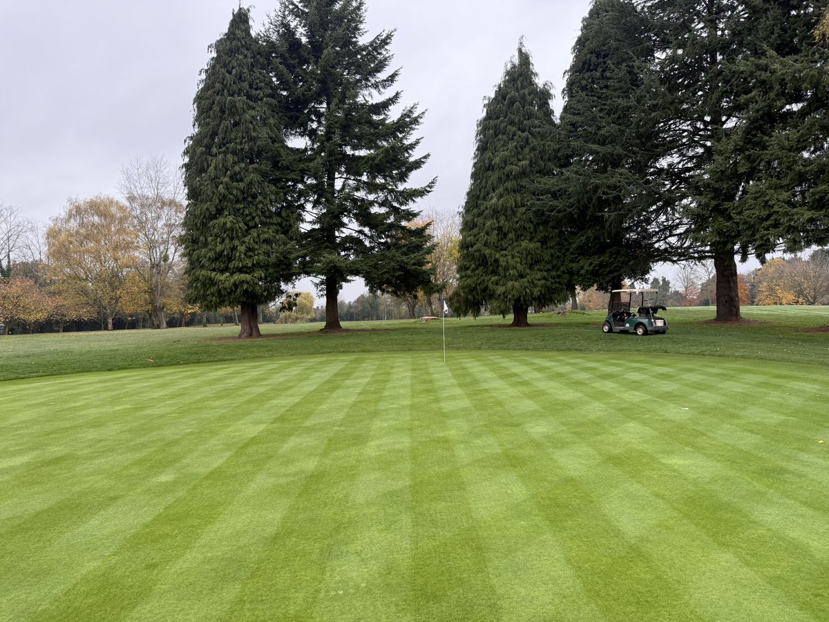c86low's tweet image. Course setup for the weekend! Plenty of leaves to contend with this week! #turf #golf #golfcourse #greenkeeping