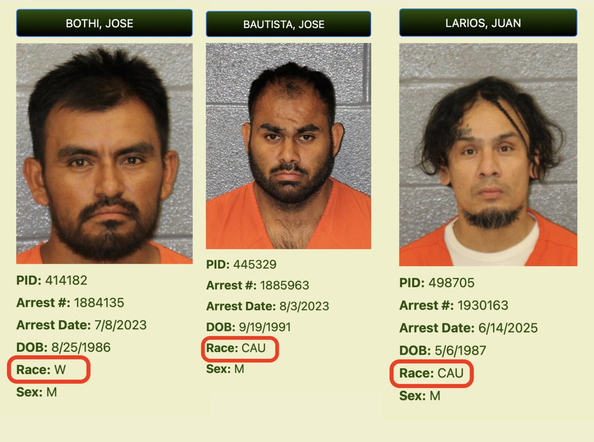 Matt Van Swol tweet media