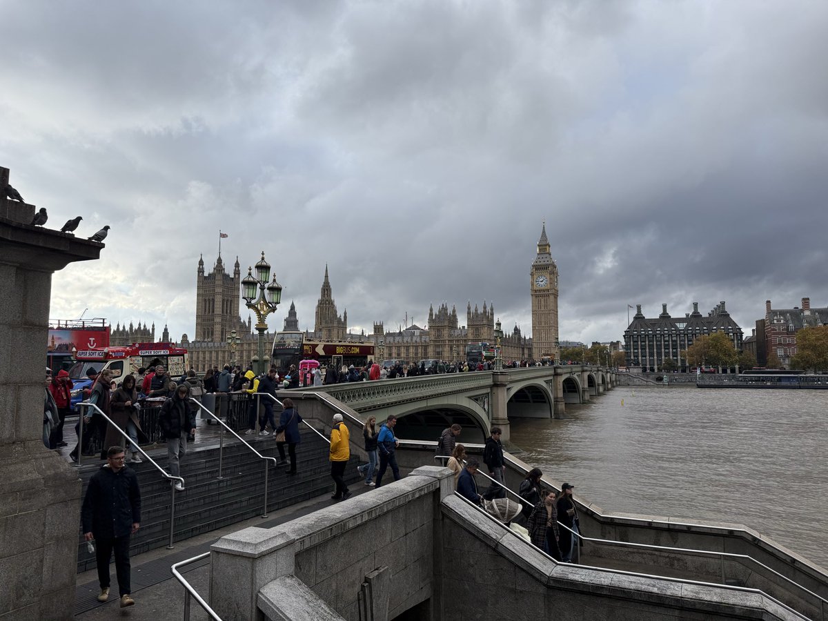 TC’s Tele tweet media