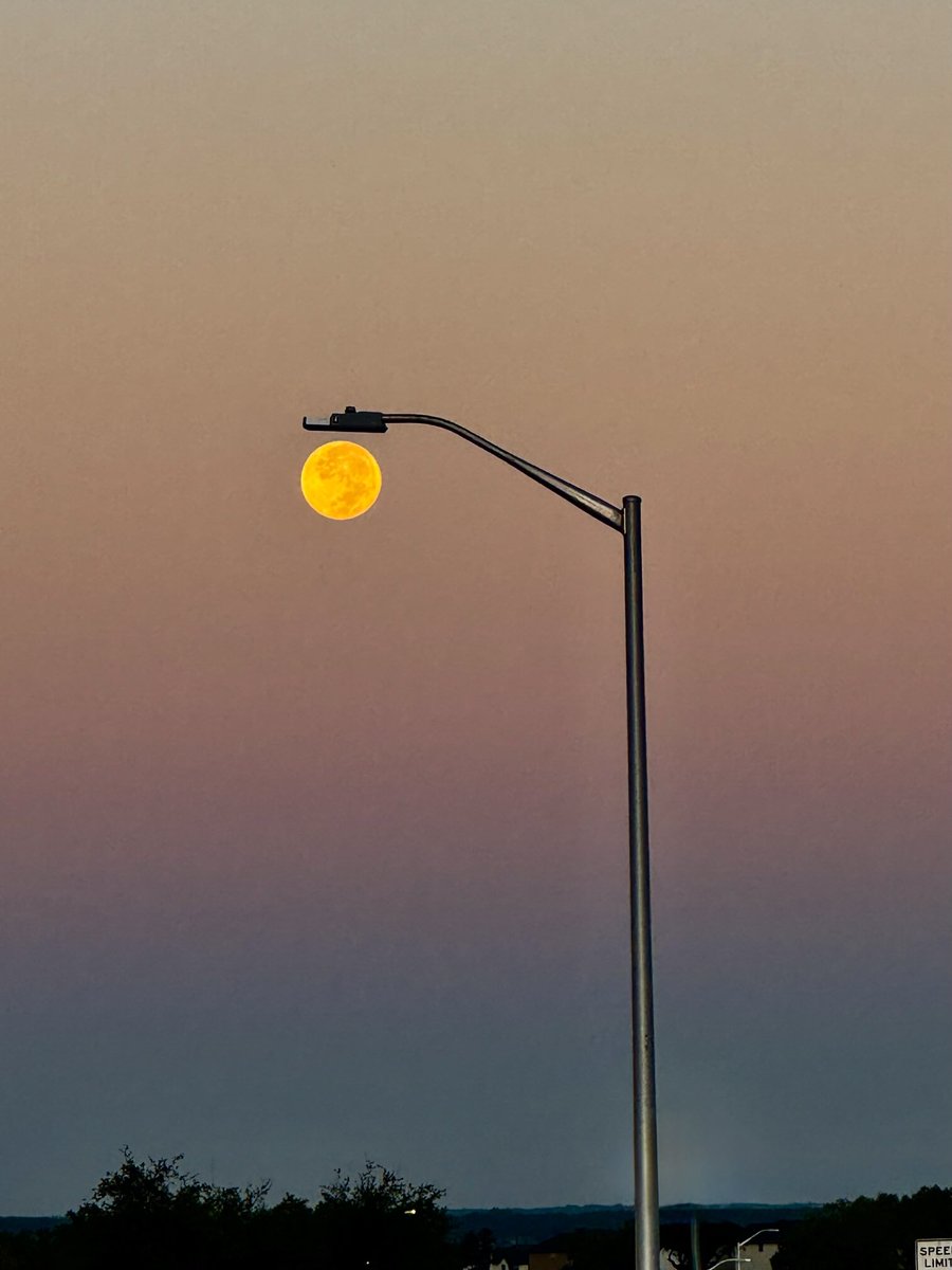 sudha_m_reddy's tweet image. Sun vs Moon. Which one’s a better shot?