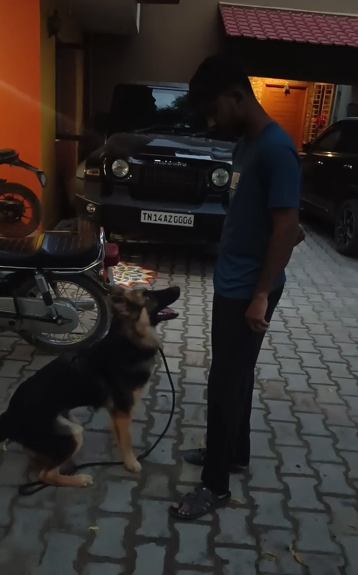 MithranWatchdog's tweet photo. The “bark and hold” teaches the dog to control #aggression with discipline, build #confidence, and show clear #communication — making it one of the most valuable exercises in #advanced #obedience and #protection training https://t.co/y1fGXDqMhs