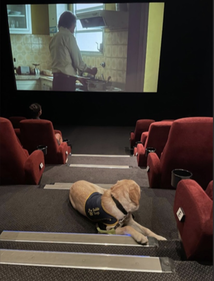 Fraser_wood's tweet image. Via @guidedogs  
Henry can now tick the cinema off of his list!
[Photo shows yellow Labrador cross golden retriever, Henry, lying down on the steps at the cinema]
#Pupdate #SponsorDog #GuideDogs