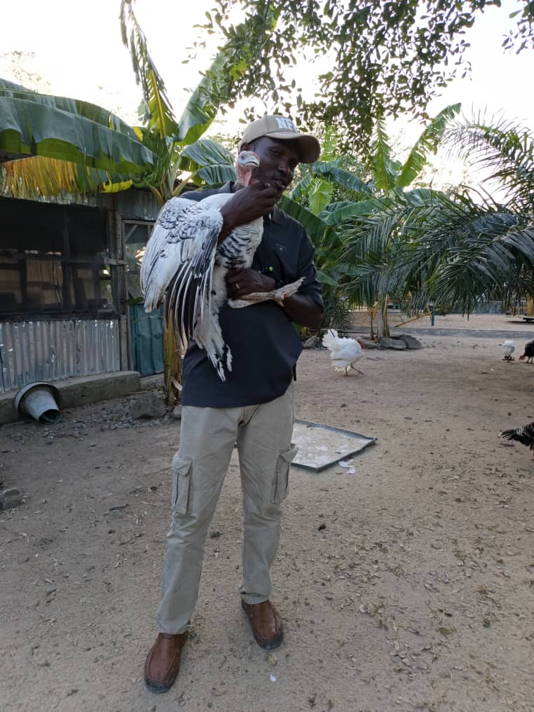 AyubaLumie's tweet photo. Farming is beautiful โค๏ธ
Nigeria must Farm, for it to survive!
#NFGCS https://t.co/R1Nz7cXOmC