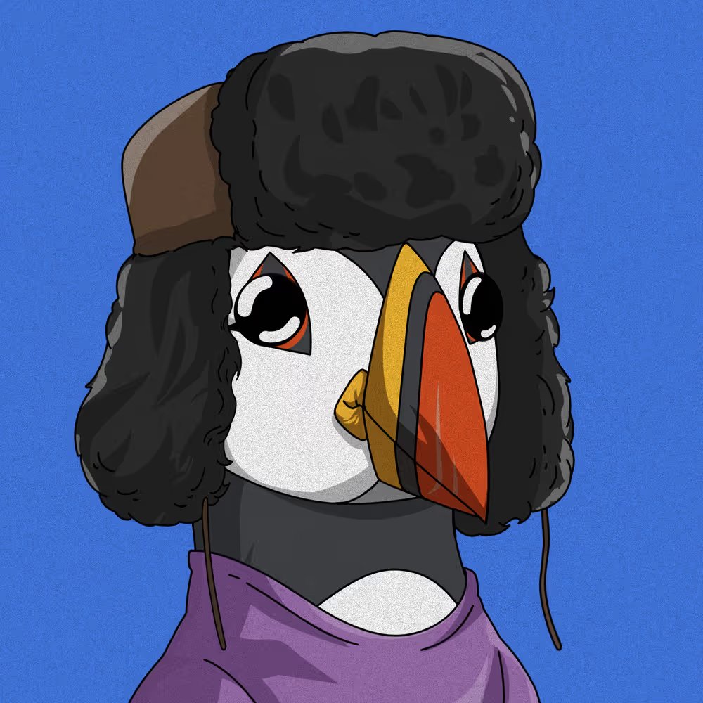 Puffins tweet media