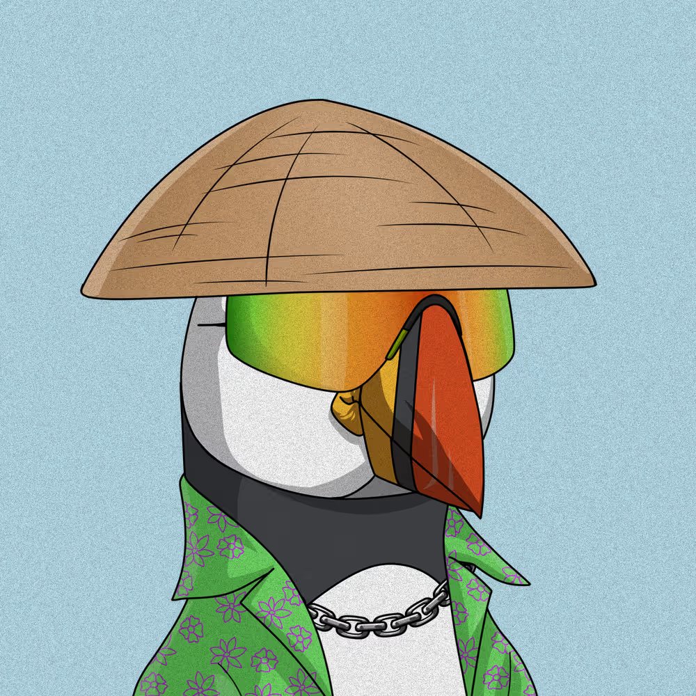 Puffins tweet media