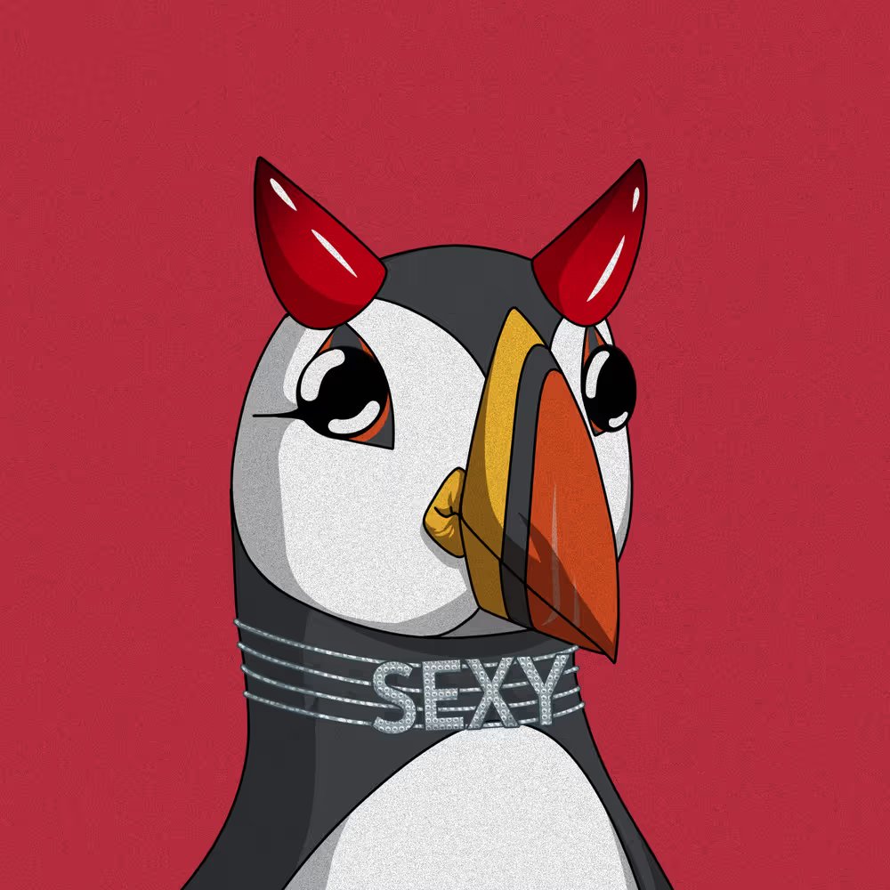 Puffins tweet media