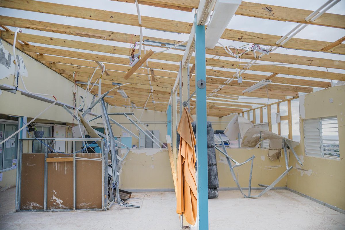 Susana Sottoli tweet media