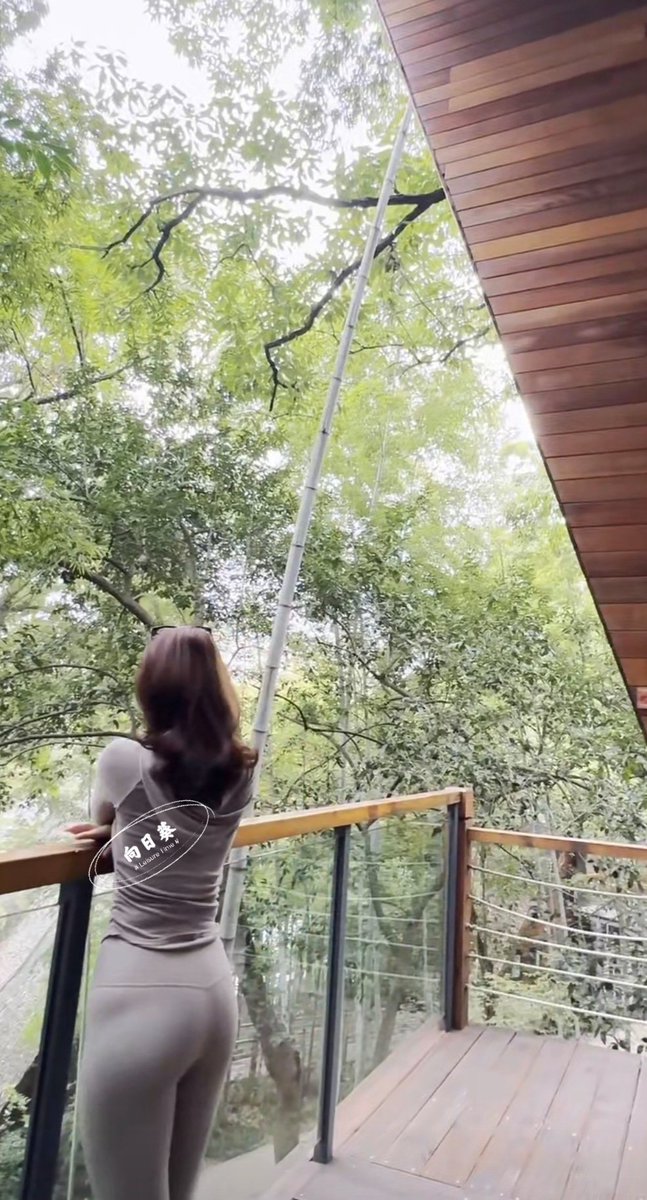 今岁新冬立 
定胜去年冬