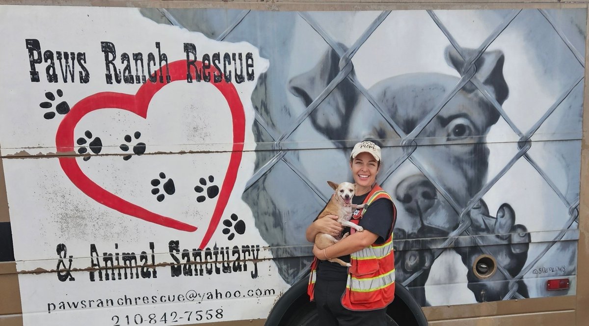 PawRanch's tweet image. Our Newest Rescue...BabyGirl. I found her behind Ruiz Restaurant waiting on a taco. They wouldn't serve her so I took her through the drive-thru and shared a taco with her. We have been best buds ever since. #AdoptBabyGirl