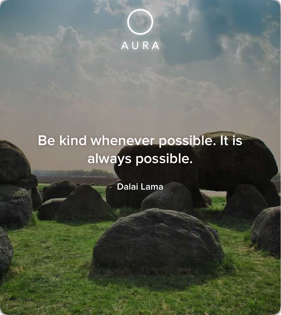 Kristin 💛 tweet media