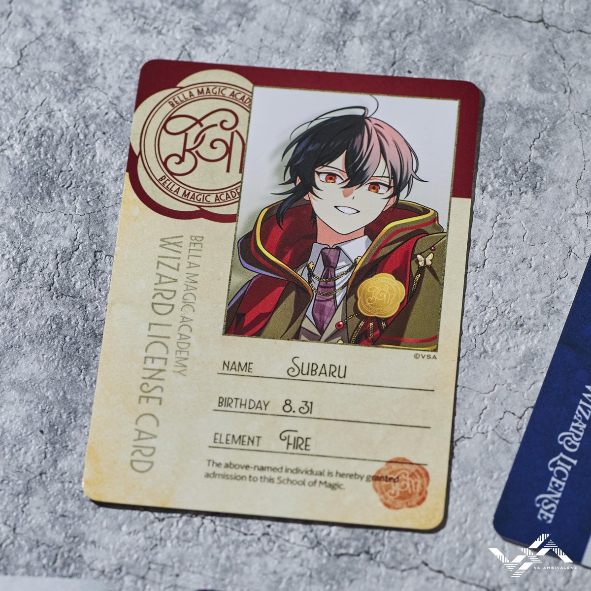 AGF_2025 開催中 ／／ 🧹.* VS AMBIVALENZ VS Magical Tournament