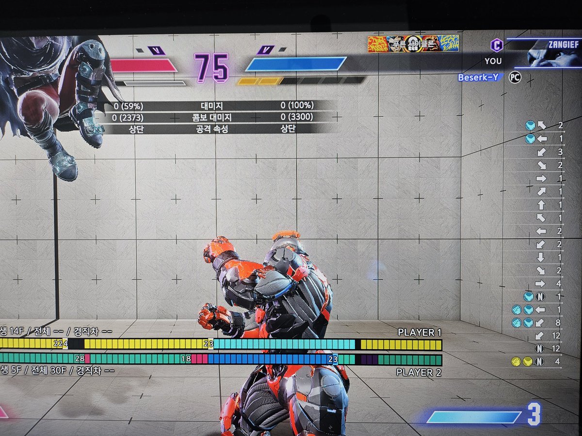 It's stressful every time I check what's been entered through replay as an online game. If it's a matter of entering sa command 236236, it's hard to understand that even if you don't put in 2 inputs twice or put 1 on the lever input, you don't accept the abbreviated input of 2.