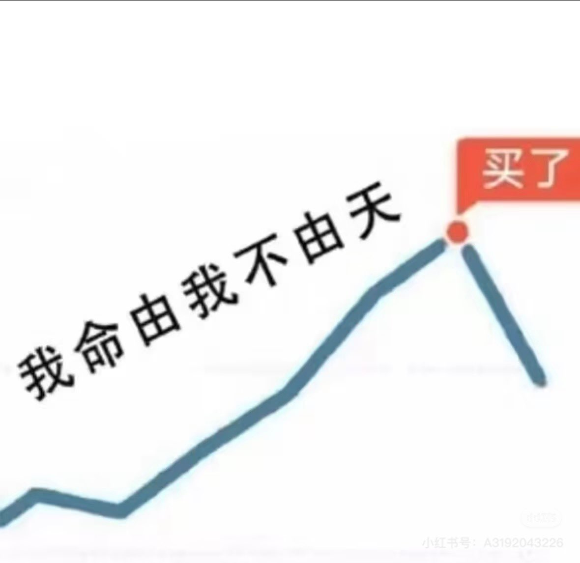 陈一发儿 tweet media