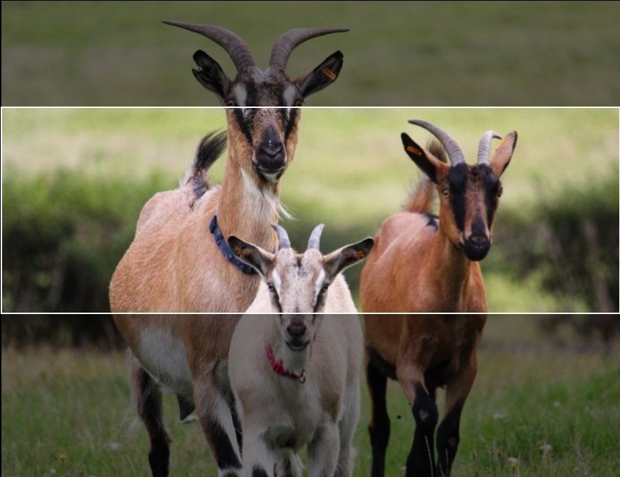 _dp75's tweet image. How do I fit this in a header?