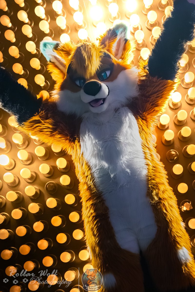 Guess what? It’s Friday! You know what that means. 

📸<a href="/rollarwolf/">Rollar Wolf</a>