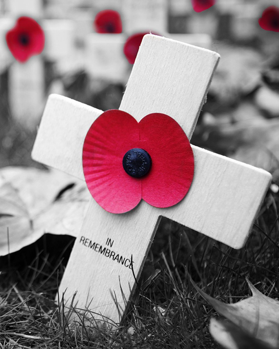 NorwichCityCSF's tweet photo. At the going down of the sun and in the morning, we will remember them 🌹

#lestweforget #poppyappeal https://t.co/Tdp1dReSn2